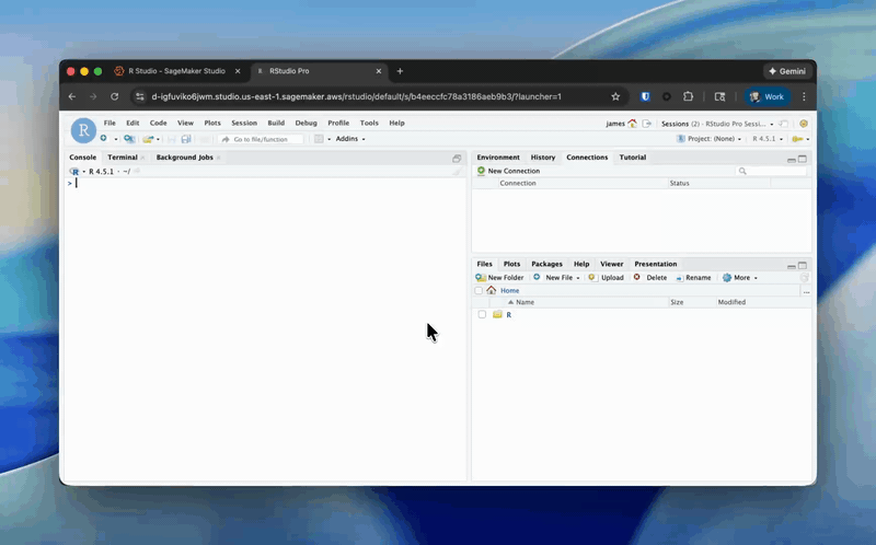 Posit on AWS