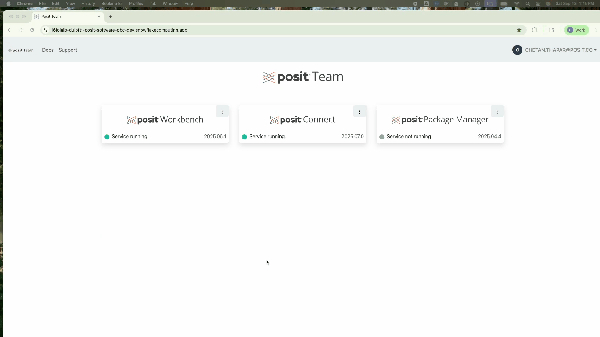 Posit Team