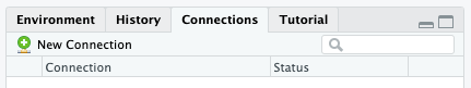 The Connections tab in the Environment pane on Posit Connect