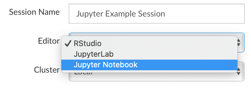 Start a new JupyterLab or Jupyter Notebook session