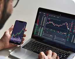 person tracking finances on laptop