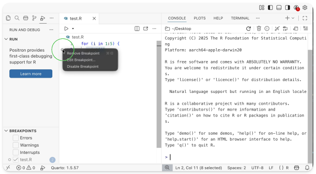 Debugger