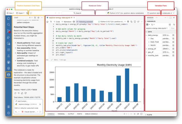 Positron notebook editor