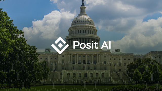 How Posit Team governs AI for public sector and government