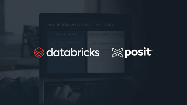 Databricks and Posit logos