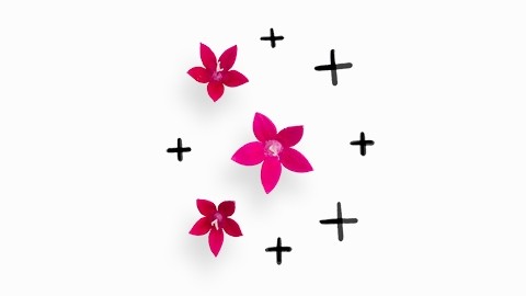 Pink flowers, plus signs are drawn in the background