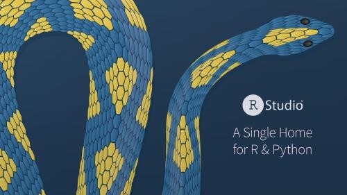 Text: A Single Home for R & Python. Illustration of a blue and green python