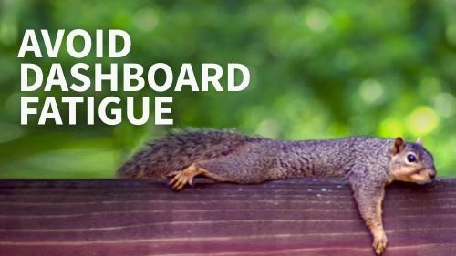 Text: Avoid dashboard fatigue. A tired squirrel lays across a log.
